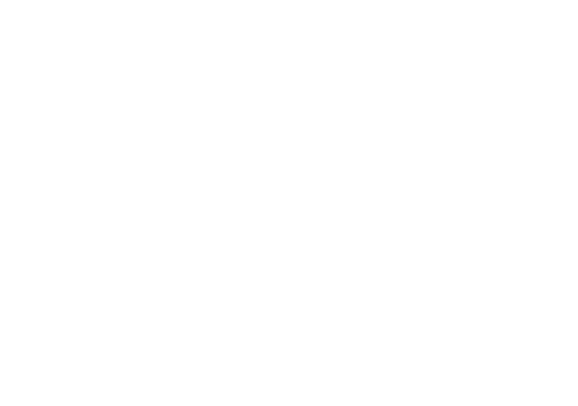 North Shore Auto Tinting